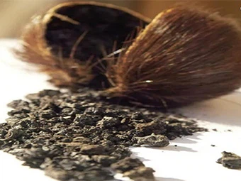 Zašto je jelen mošus u prahu popularan na tržištu?