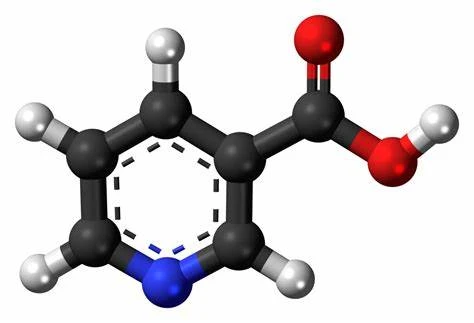 Niacin powder